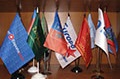 Флажки ассорти